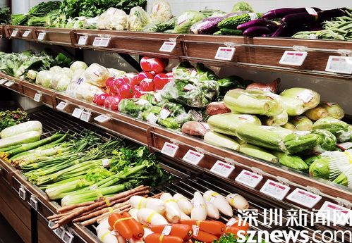 每日一报 广东省发展改革委实施蔬菜价格应急监测